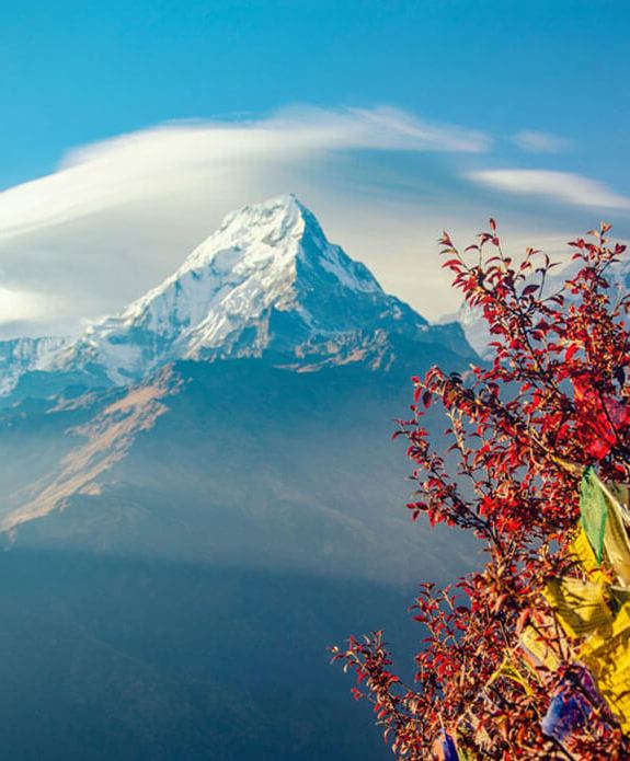  GALLERY QIZIQ 16 QIZIQ 16 Ayub Travels Tours - Тур Агентство Ташкент Кибрай AYUB-TRAVELS-TOURS.UZ ТУР АГЕНТЛИК ТОШКЕНТ КИБРАЙ  