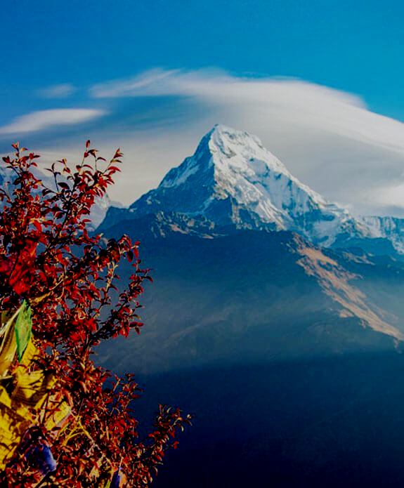  GALLERY QIZIQ 17 QIZIQ 17 Ayub Travels Tours - Тур Агентство Ташкент Кибрай AYUB-TRAVELS-TOURS.UZ ТУР ФИРМА ТОШКЕНТ КИБРАЙ  