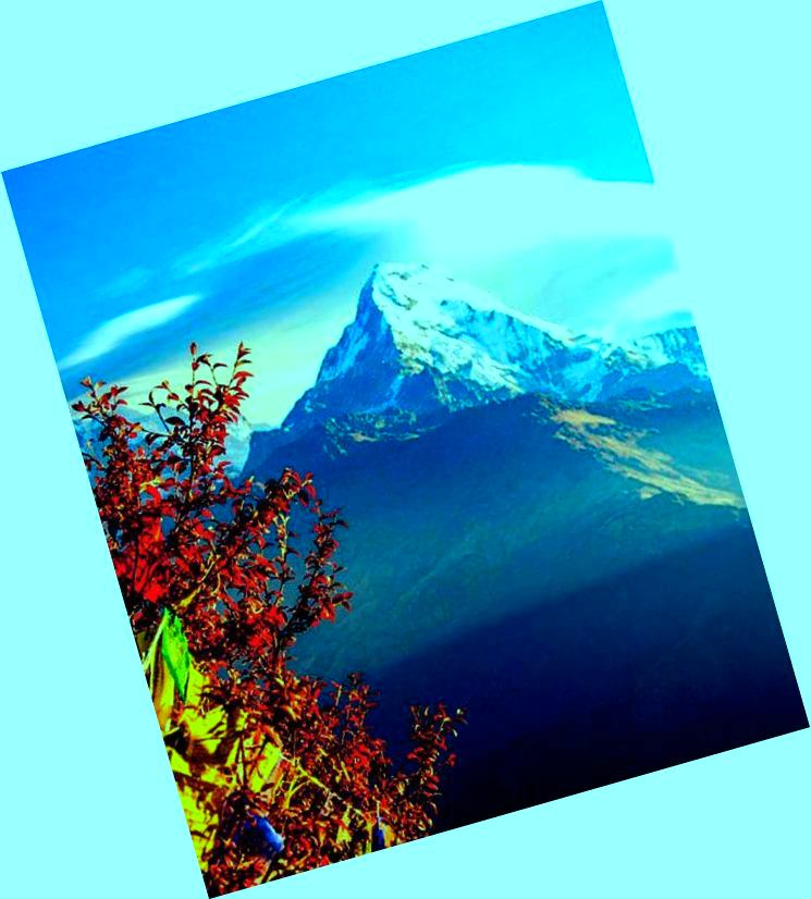 GALLERY QIZIQ 18 QIZIQ 18 Ayub Travels Tours - Тур Агентство Ташкент Кибрай AYUB-TRAVELS-TOURS.UZ ТУР ОПЕРАТОР ТОШКЕНТ КИБРАЙ  