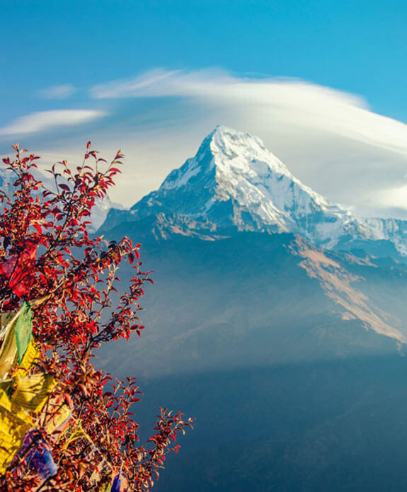  GALLERY QIZIQ 19 QIZIQ 19 Ayub Travels Tours - Тур Агентство Ташкент Кибрай AYUB-TRAVELS-TOURS.UZ ТУР АГЕНТСТВО ТОШКЕНТ КИБРАЙ  